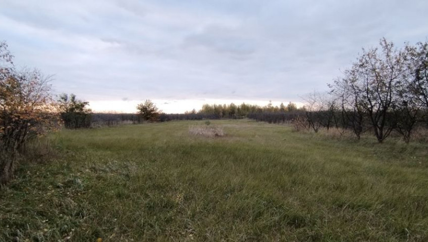 Działka Sprzedaż Maciejówka